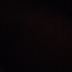 Meet your Posher, Laânisha